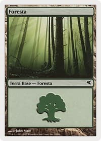 Forest (Italian) - "Foresta" (I34)