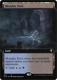 Morphic Pool (Extended Art)