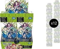 Standup Diva Booster Box Case