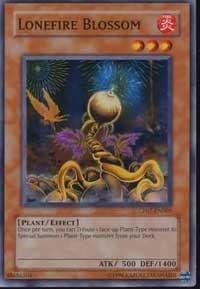 Lonefire Blossom