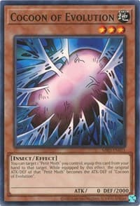 Cocoon of Evolution