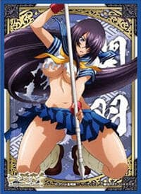Ensky Imported Card Sleeves: Ikkitousen Extravaganza Epoch - Unchou Kan-u (65 Pack)