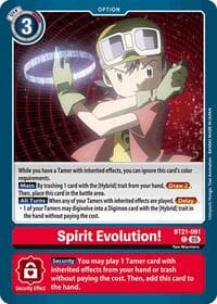 Spirit Evolution!