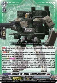 Support "TS", Rekka (Guided Missiles)
