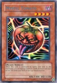 Mystic Tomato (Blue)