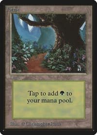 Forest (B)