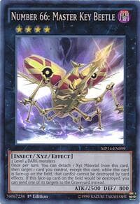 Number 66: Master Key Beetle